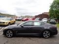 2020 Panthera Metal Kia Stinger GT-Line  photo #6