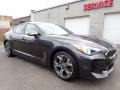 2020 Panthera Metal Kia Stinger GT-Line  photo #10