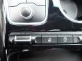 2020 Panthera Metal Kia Stinger GT-Line  photo #20