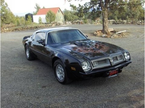 1975 Pontiac Firebird Trans Am Data, Info and Specs