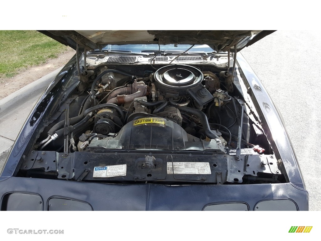 1980 Pontiac Firebird Turbo Trans Am 4.9 Liter Turbocharged OHV 16-Valve V8 Engine Photo #138710970