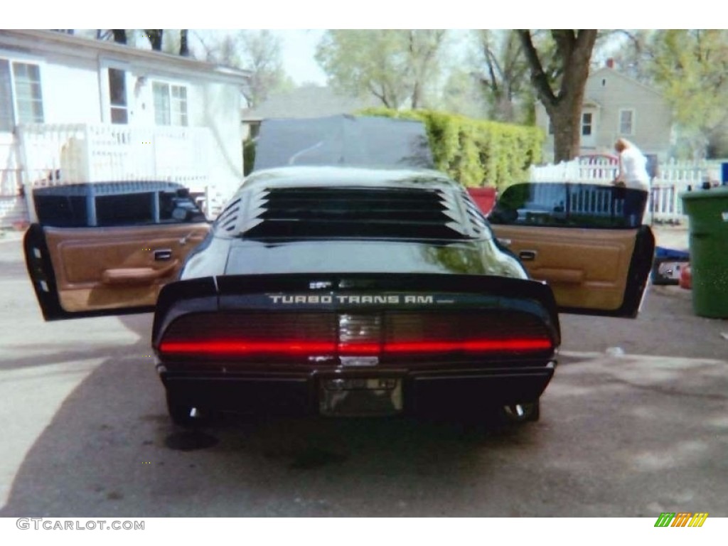 1980 Pontiac Firebird Turbo Trans Am Marks and Logos Photo #138711054
