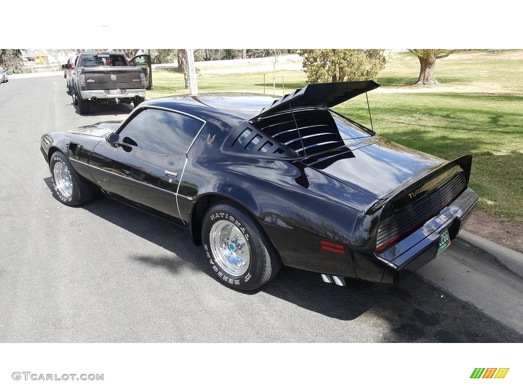 Starlight Black 1980 Pontiac Firebird Turbo Trans Am Exterior Photo #138711276