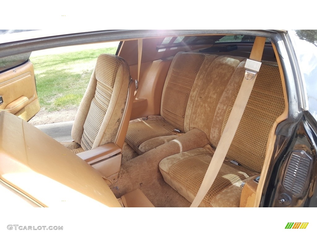 1980 Pontiac Firebird Turbo Trans Am Rear Seat Photo #138711483