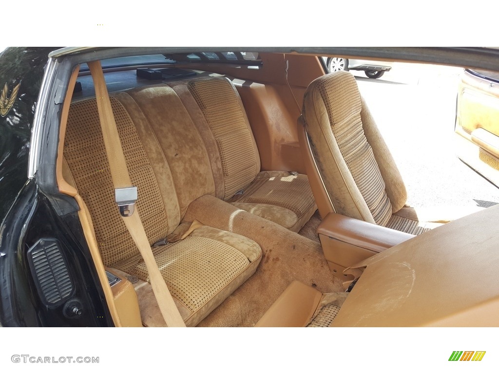 1980 Pontiac Firebird Turbo Trans Am Rear Seat Photos