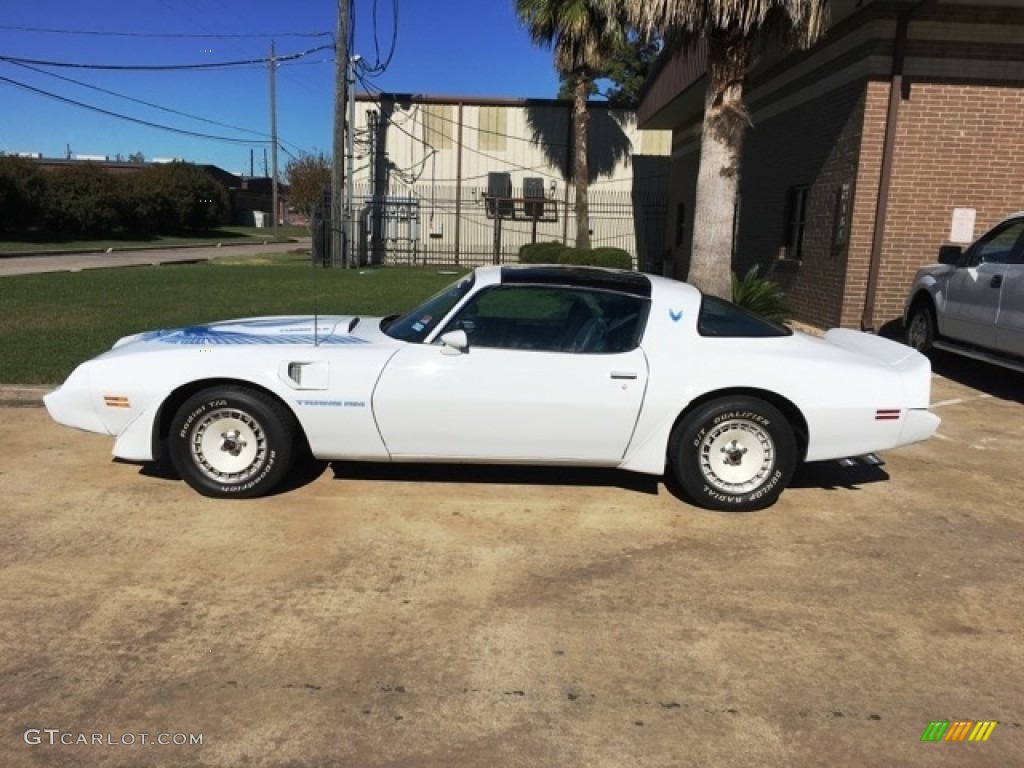 1981 Firebird Trans Am Coupe - White / Dark Blue photo #1