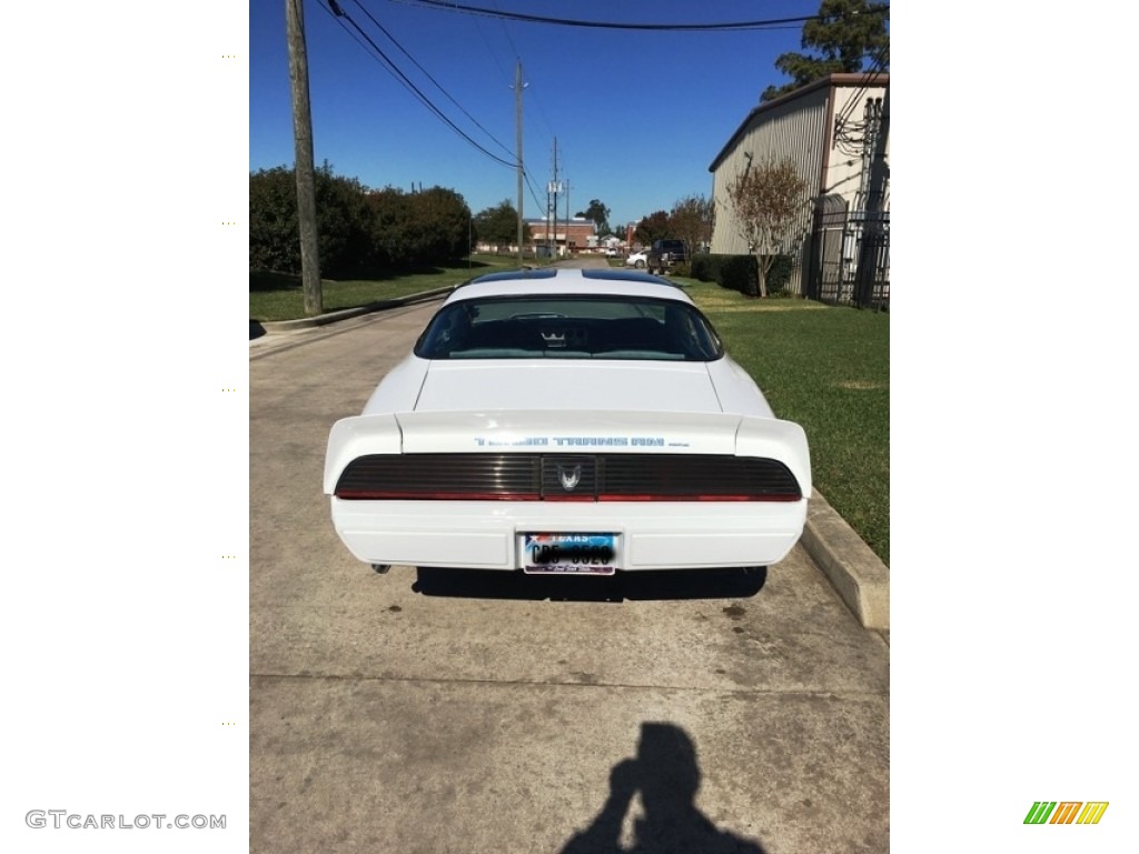 1981 Firebird Trans Am Coupe - White / Dark Blue photo #2