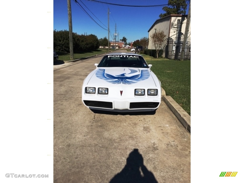 1981 Firebird Trans Am Coupe - White / Dark Blue photo #3