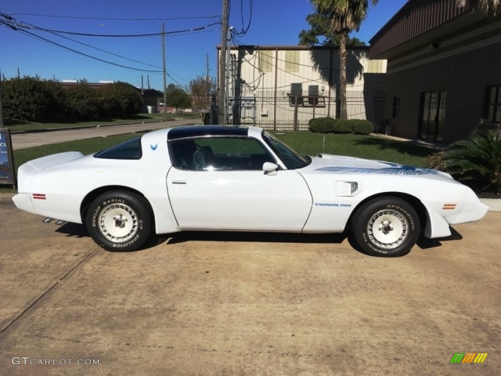 1981 Firebird Trans Am Coupe - White / Dark Blue photo #4