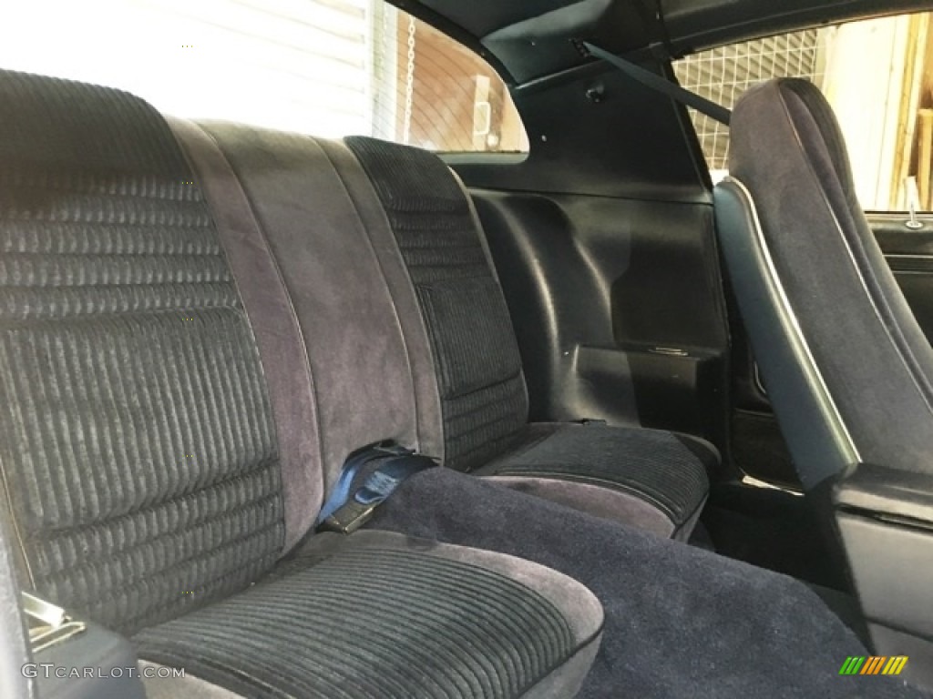 1981 Firebird Trans Am Coupe - White / Dark Blue photo #11