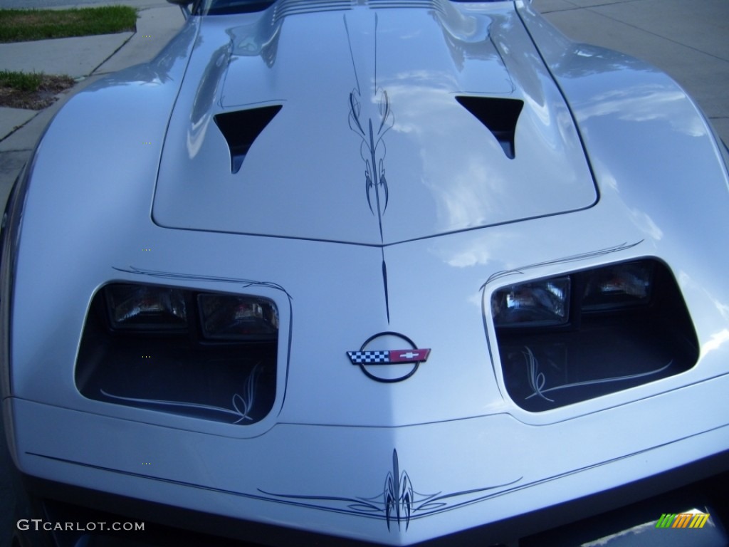 1981 Corvette Coupe - Silver Metallic / Silver Grey photo #8