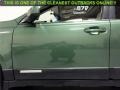 2010 Cypress Green Pearl Subaru Outback 2.5i Limited Wagon  photo #34