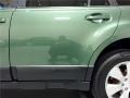 2010 Cypress Green Pearl Subaru Outback 2.5i Limited Wagon  photo #36
