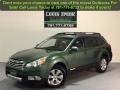 2010 Cypress Green Pearl Subaru Outback 2.5i Limited Wagon  photo #126