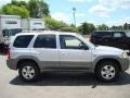 Platinum Metallic - Tribute LX V6 4WD Photo No. 5