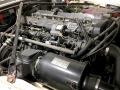 4.2 Liter DOHC 24-Valve Inline 6 Cylinder 1987 Jaguar XJ XJ6 Engine