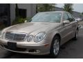 Desert Silver Metallic - E 350 Sedan Photo No. 13