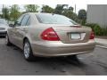 Desert Silver Metallic - E 350 Sedan Photo No. 18