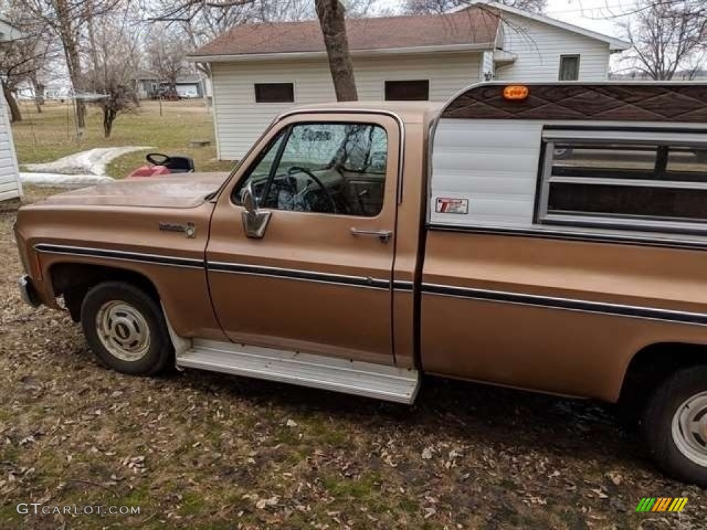 1980 C/K C10 Custom Deluxe Regular Cab - Camel Metallic / Camel Tan photo #2