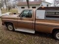 Camel Metallic 1980 Chevrolet C/K C10 Custom Deluxe Regular Cab Exterior