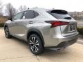 Atomic Silver - NX 300 F Sport AWD Photo No. 4