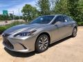 Atomic Silver - ES 350 Photo No. 1