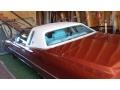 Saturn Bronze Firemist - Eldorado Coupe Photo No. 3