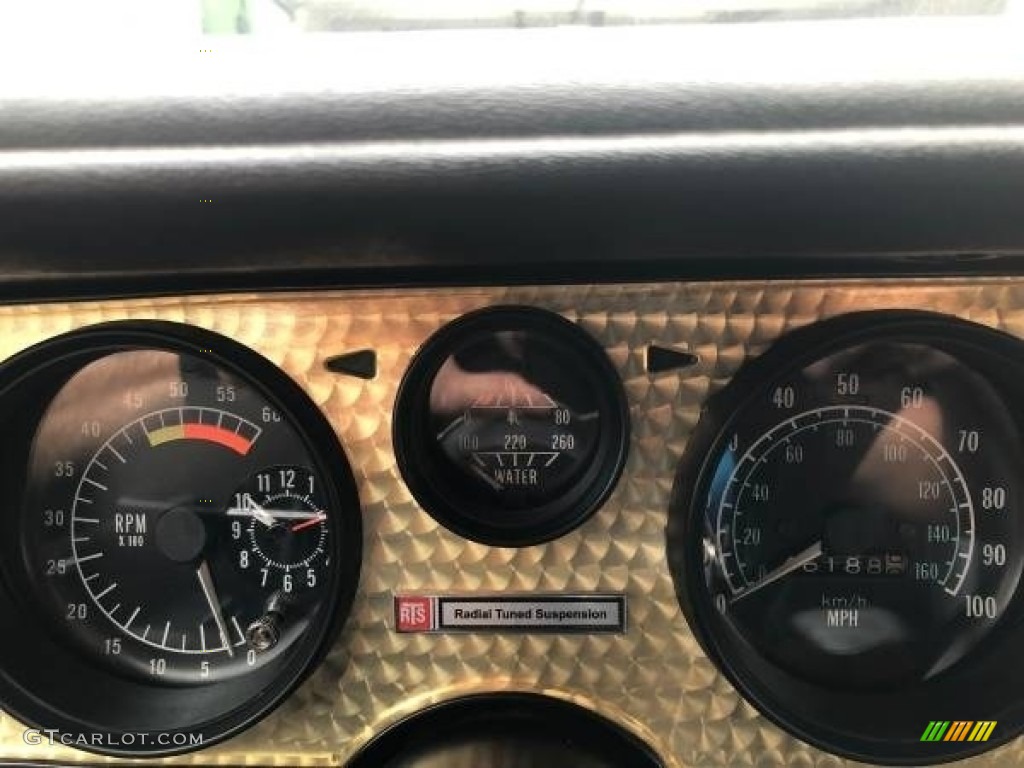 1978 Pontiac Firebird Trans Am Coupe Gauges Photo #138739494