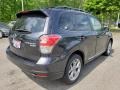 Dark Gray Metallic - Forester 2.5i Touring Photo No. 20