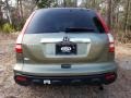 2009 Green Tea Metallic Honda CR-V EX-L 4WD  photo #4