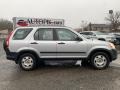 Alabaster Silver Metallic - CR-V LX 4WD Photo No. 2