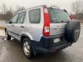 2006 Alabaster Silver Metallic Honda CR-V LX 4WD  photo #5