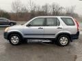 Alabaster Silver Metallic - CR-V LX 4WD Photo No. 6