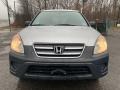 Alabaster Silver Metallic - CR-V LX 4WD Photo No. 8
