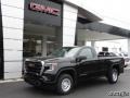 Onyx Black - Sierra 1500 Regular Cab 4WD Photo No. 1