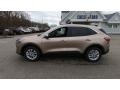 2020 Desert Gold Metallic Ford Escape SE 4WD  photo #4