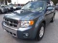 2012 Steel Blue Metallic Ford Escape Limited V6  photo #7