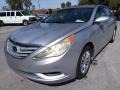 Radiant Silver - Sonata GLS Photo No. 7