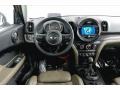 Chestnut - Countryman Cooper S Photo No. 4