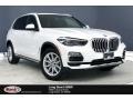 Alpine White - X5 xDrive40i Photo No. 1