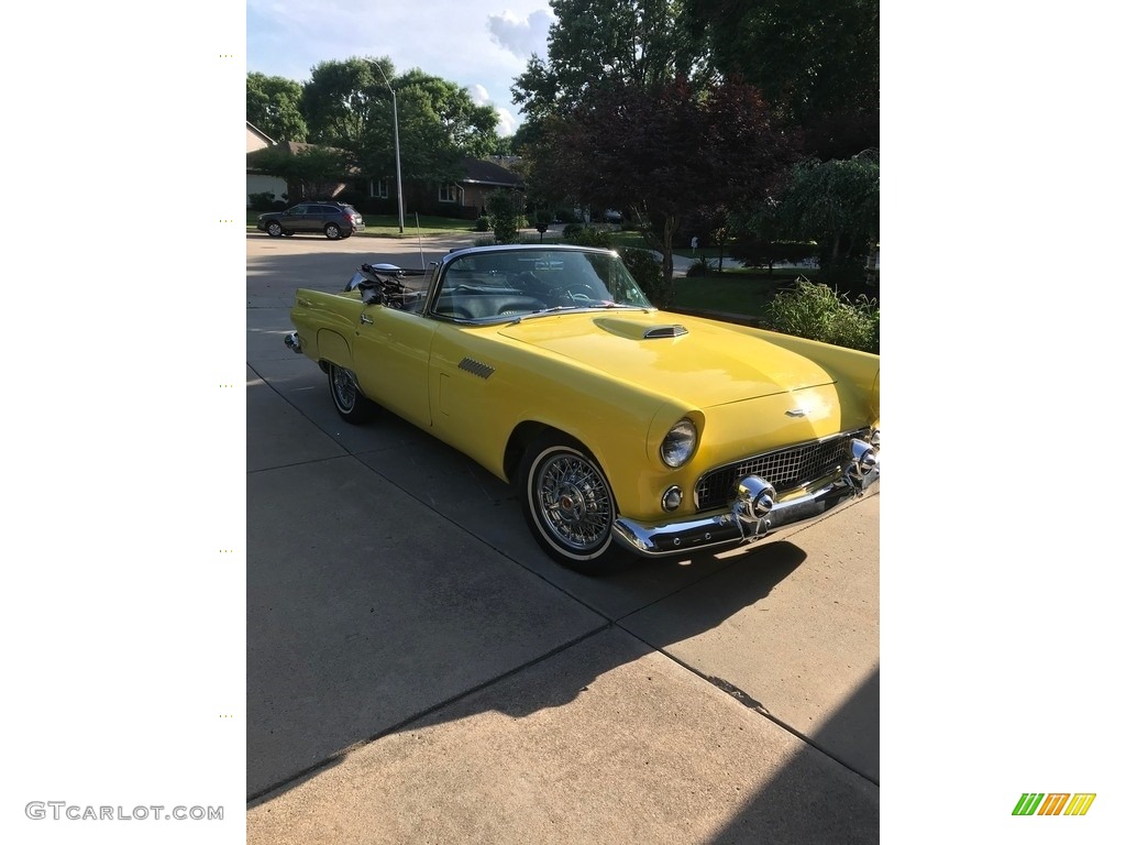 Goldenglow Yellow Ford Thunderbird