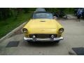 Goldenglow Yellow - Thunderbird Roadster Photo No. 2