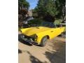 Goldenglow Yellow - Thunderbird Roadster Photo No. 5