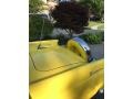 Goldenglow Yellow - Thunderbird Roadster Photo No. 10