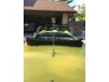 Goldenglow Yellow - Thunderbird Roadster Photo No. 11