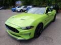 2020 Grabber Lime Ford Mustang GT Fastback  photo #5