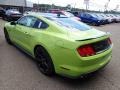 2020 Grabber Lime Ford Mustang GT Fastback  photo #7