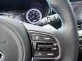 Light Gray Steering Wheel Photo for 2020 Kia Niro #138805901