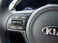 2020 Kia Niro Light Gray Interior Steering Wheel Photo