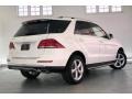Polar White - GLE 350 Photo No. 16